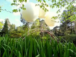 Image result for PONT DE SINGE