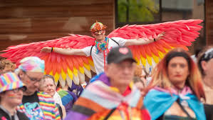 Image result for University of Sheffield Ultimate- Phat 'eds