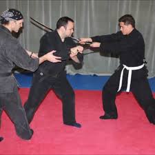 Image result for Bujinkan Cambridge Dojo