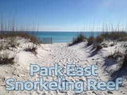 Image result for East Snorkellers