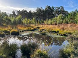 Image result for Crowthorne Angling