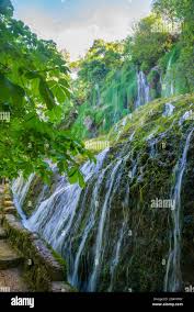 「parque los chor」の画像検索結果