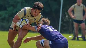 Image result for Thornhill Rugby League Football Club