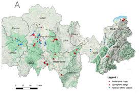 Attēlu rezultāti vaicājumam “Herzogiella seligeri sporophyte”