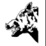 Image result for Hales Cricket Club