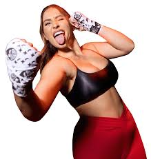 Image result for York University Boxing Club