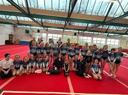 Image result for Crewe & Nantwich Gymnastics Club