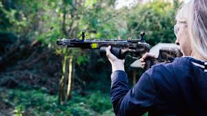 Image result for Bristol Invicta Rifle Club