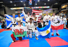 Image result for Crown Tae Kwon Do