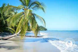 Image result for cahuita costa rica