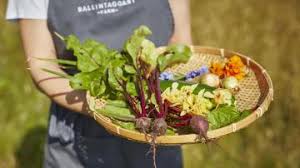 Image result for Chard Scrabble Club