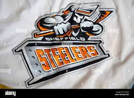 Image result for Sheffield Steelers