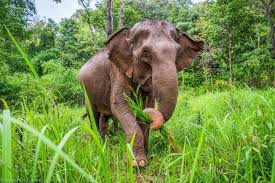 Image result for inthe.es