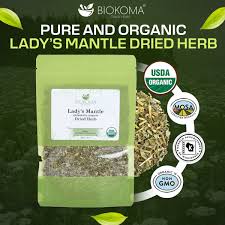 Attēlu rezultāti vaicājumam “Alchemilla vulgaris aggr.”