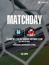 Image result for Fleur De Lys Football Club