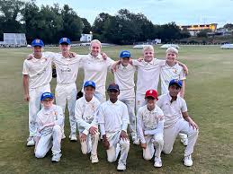 Image result for Lowerhouse Cricket Club
