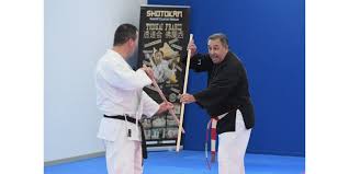 Image result for Excalibur Shotokan Karate Club