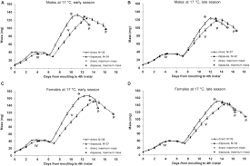 Attēlu rezultāti vaicājumam “Araschnia levana larva”