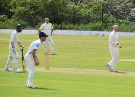 Image result for Hampole & Skelbrooke Cricket Club