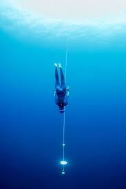 Image result for Blue Water Freediving School