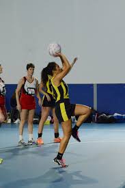 Image result for Sydenham Ladies Netball Club