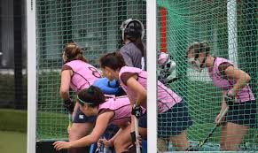 Image result for Teddington Ladies Bowling Club