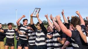 Image result for Royston Rufc