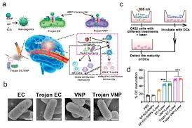 Image result for Trojan Abc