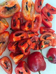 Afbeeldingsresultaat voor red rocoto hot pepper