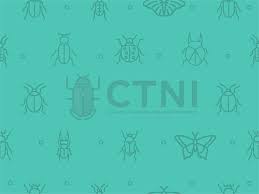 Attēlu rezultāti vaicājumam “Enochrus affinis”