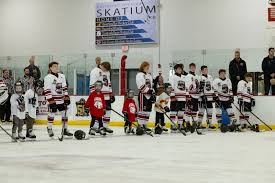 Image result for Havering Skater Hockey Club