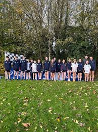 Image result for County Antrim Harriers