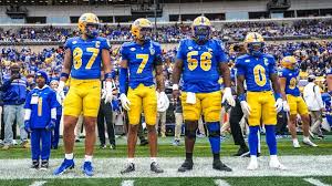 Image result for Hamilton Panthers Association Football Club