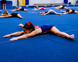 Image result for Jayenell Gymnastics Club