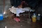 Hurricane Sandy Collection - Thehour.com: News