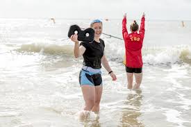 Image result for BTC rowing club