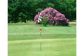 Image result for Dorking Golf Club