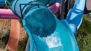 Image result for rosa aquatica