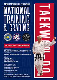 Image result for Llantrisant Tkd