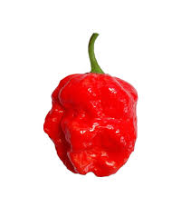 Afbeeldingsresultaat voor 7 pot hot pepper