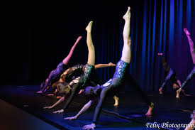 Image result for Elements Acro