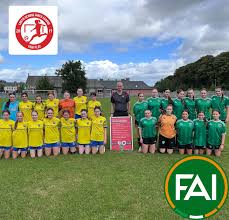 Image result for Louth United Football Club