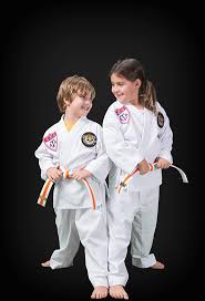 Image result for ATA Martial Arts Mobile
