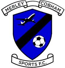 Image result for Cobham Sports Association Ltd