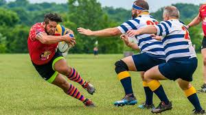 Image result for Bingham Rugby Union Football Club