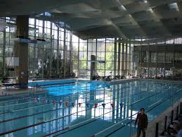 Image result for Coventry Swimming Club