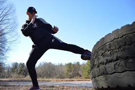 Image result for Somerset Jeet Kune Do