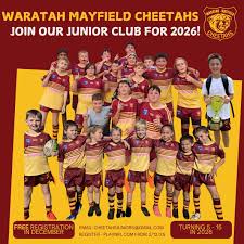 Image result for Mayfield Rugby League Football Club
