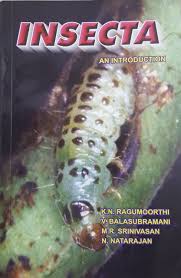 Attēlu rezultāti vaicājumam “Insecta”