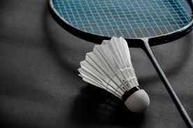 Image result for Stonehenge Badminton Club